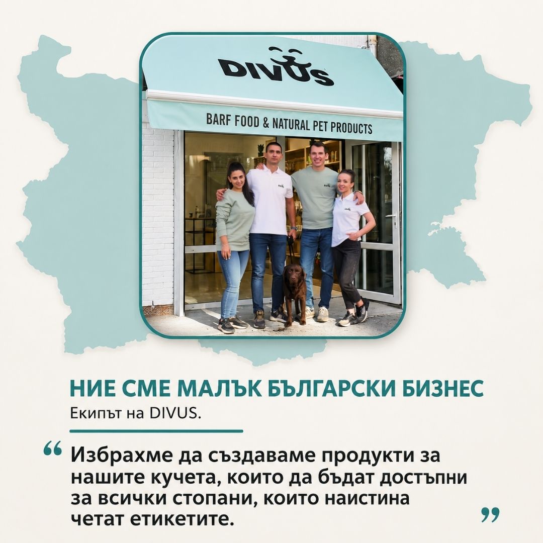 Екипът на DIVUS